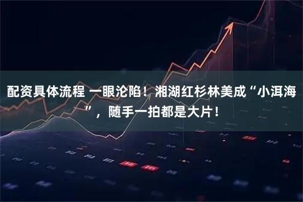 配资具体流程 一眼沦陷！湘湖红杉林美成“小洱海”，随手一拍都是大片！