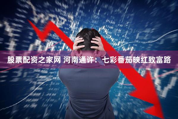 股票配资之家网 河南通许：七彩番茄映红致富路